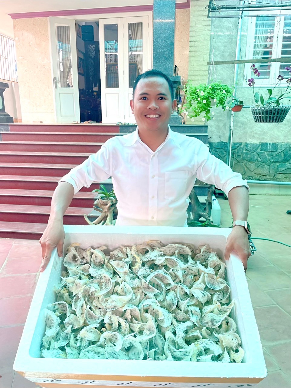 Yến Nguyên liệu, chất lượng cao